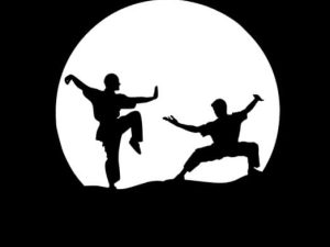 Silhouettes représentant la différence entre le karaté et le kung-fu, deux arts martiaux traditionnels