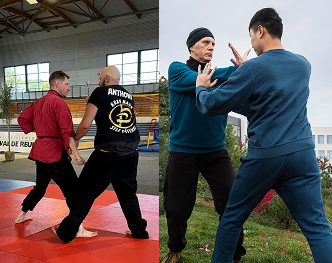 Cours de Kung-Fu Tang Lang à Val-de-Reuil – alternative au Wing Chun Kung-Fu en Normandie
